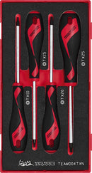 Teng Tools TEAMD04TXN Screwdriver Set TX FOAM1 4 Pieces