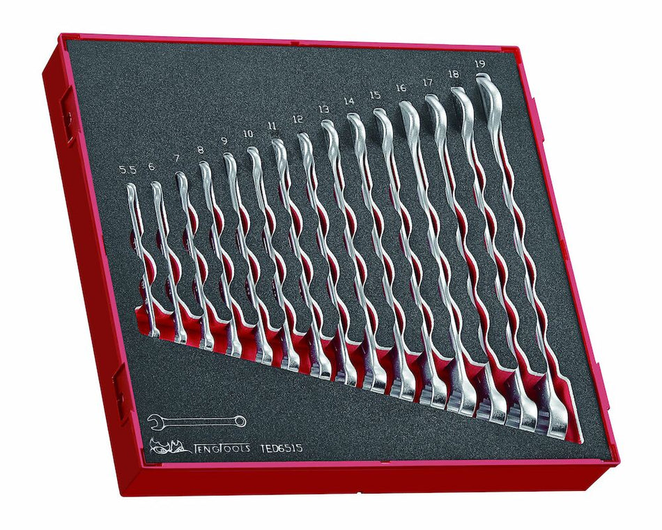 Teng Tools TED6515 Combination Spanner Set FOAM2 15 Pieces