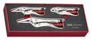 Teng Tools TEZVG03 Power Grip Plier Set FOAMX2 3 Pieces