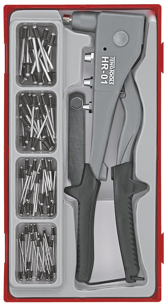 Teng Tools TTHR81 Rivet Gun Set TT1 81 Pieces