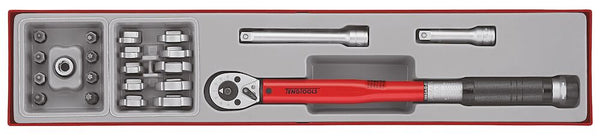 Teng Tools TTX3892 3/8" Torque Wrench Set 20-110 Nm TTX4 22 Pieces