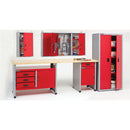 Clarke 7642000 CWC38 Single Door Wall Cabinet