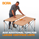 BORA CK22TM Centipede Table Top - Pair - 20mm Dog Holes