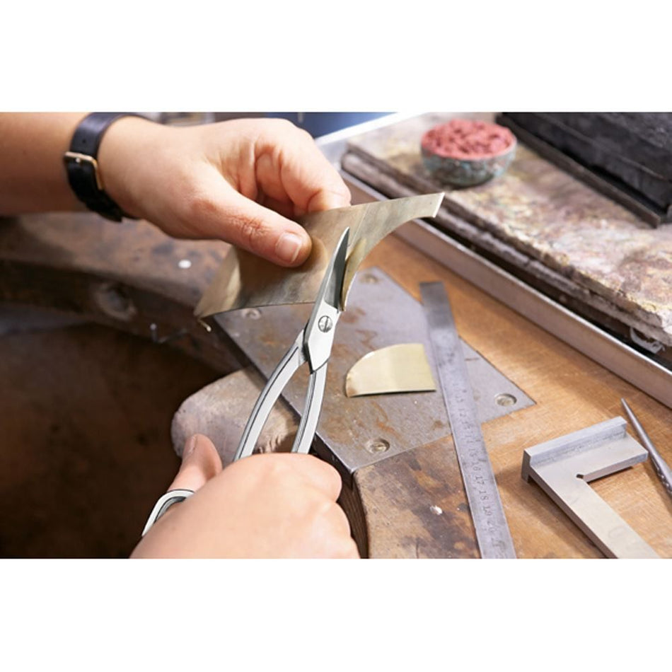 Bessey D75-1 Jewellers' snips, BE301473