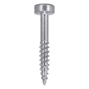 Trend Tools PH/6X25/500 Pocket Hole Screw Fine Thread No.6 X 25Mm