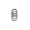 Trend Tools WP-T10/081 Spring For Thumb Knob T10