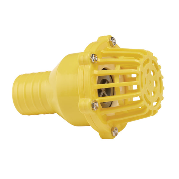 Draper 19548 Foot Valve Strainer, 50mm/2"