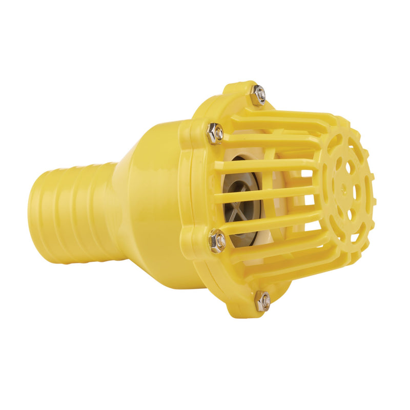 Draper 19548 Foot Valve Strainer, 50mm/2"