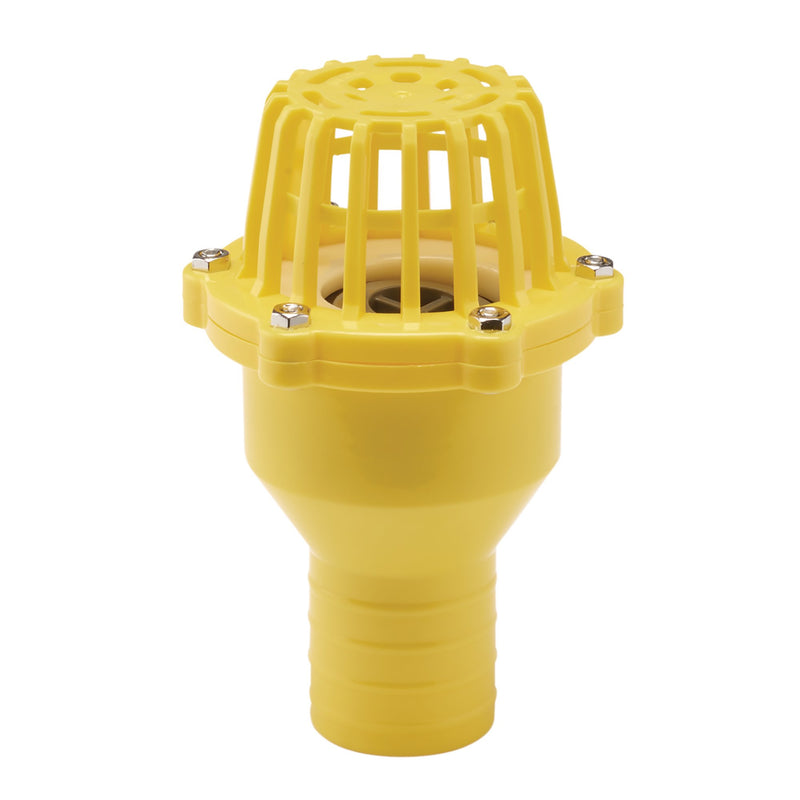 Draper 19548 Foot Valve Strainer, 50mm/2"