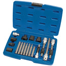 Draper 31921 Alternator Pulley Tool Kit (18 Piece)