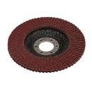 Draper 82870 Aluminium Oxide Flap Disc, 115 x 22.23mm, 80 Grit