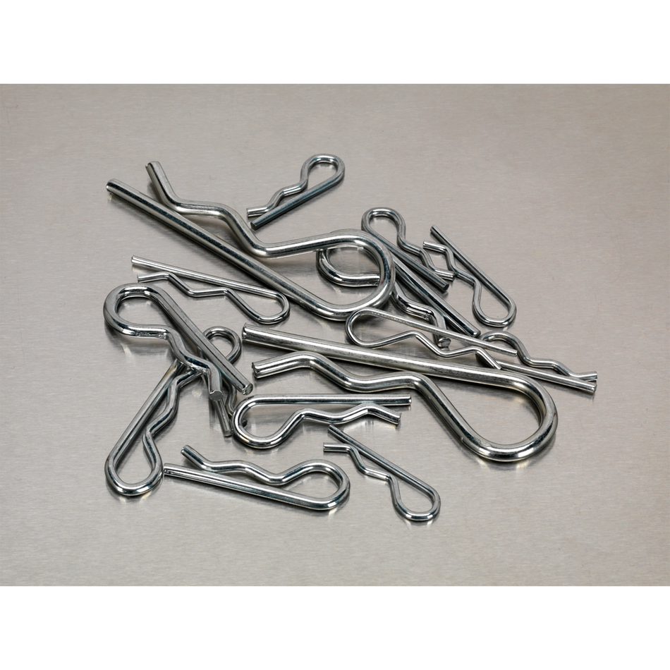 Sealey AB002RC 150pc R-Clip Assortment
