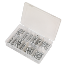 Sealey AB009GN 130pc Grease Nipple Assortment - Metric, BSP & UNF