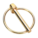 Sealey AB022LP 50pc Linch Pin Assortment - Metric