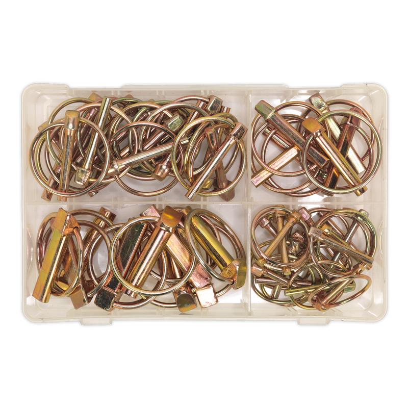 Sealey AB022LP 50pc Linch Pin Assortment - Metric