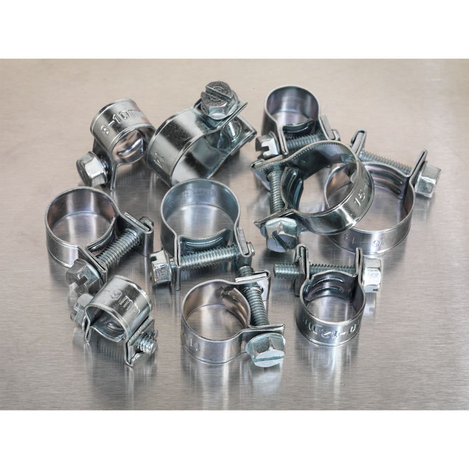 Sealey AB042MH 100pc Mini Hose Clip Assortment DIN 1.0338