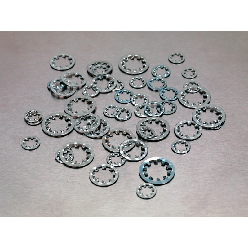 Sealey AB057LW 1000pc Internal Serrated Lock Washer Assortment DIN 6798J - M5-M10