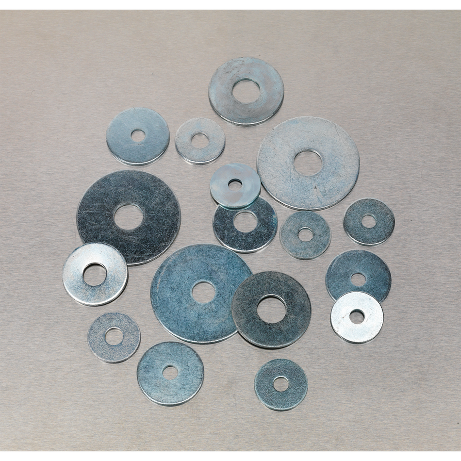 Sealey AB059RW 240pc Zinc Plated Repair Washer Assortment - M5-M10