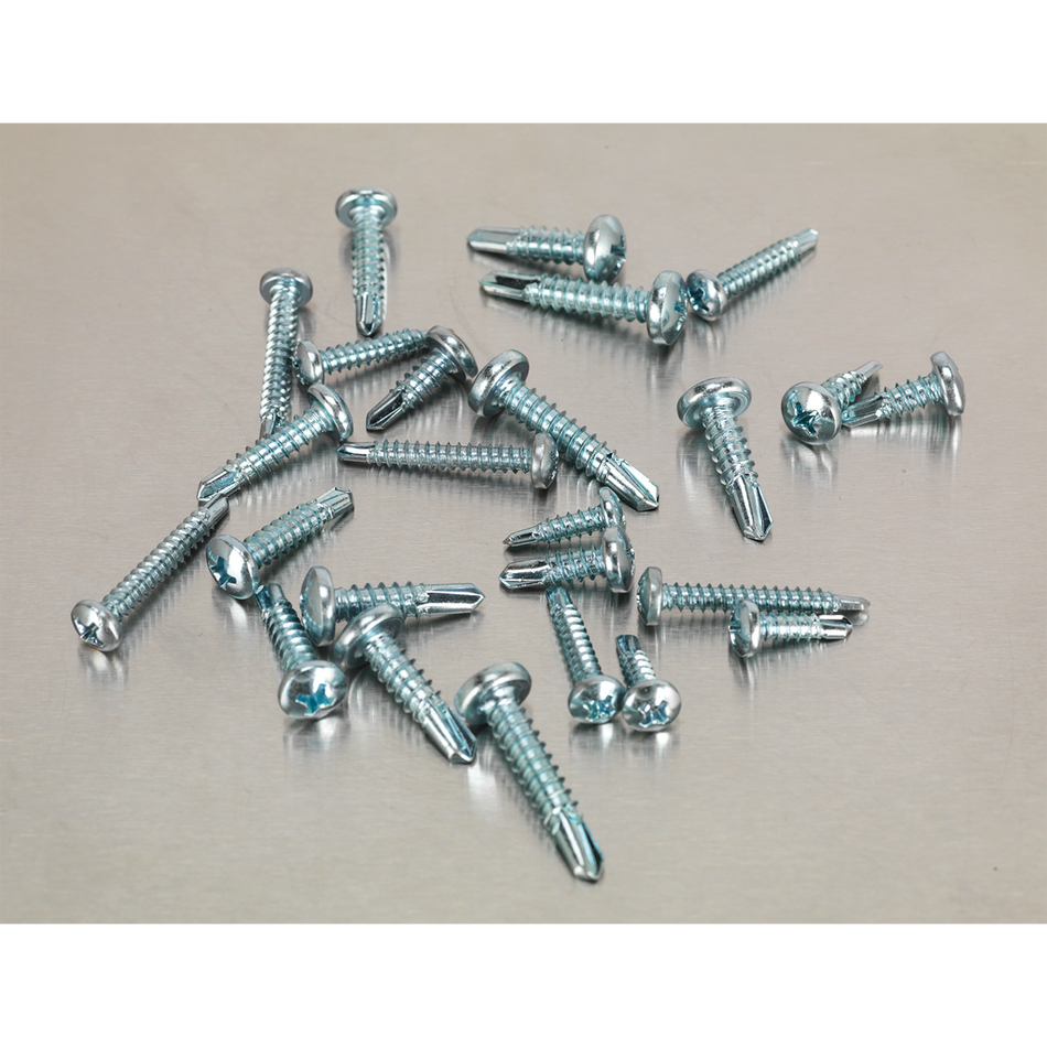 Sealey AB060SDS 500pc Self Drilling Phillips Pan Head Screw Assortment