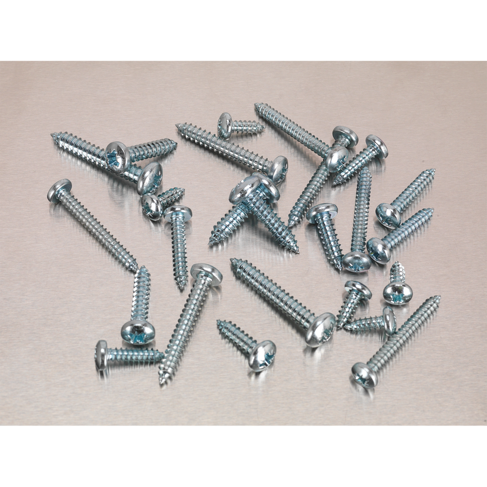 Sealey AB064STPP 305pc Self Tapping Pan Head Pozi Screw Assortment - DIN 798CZ