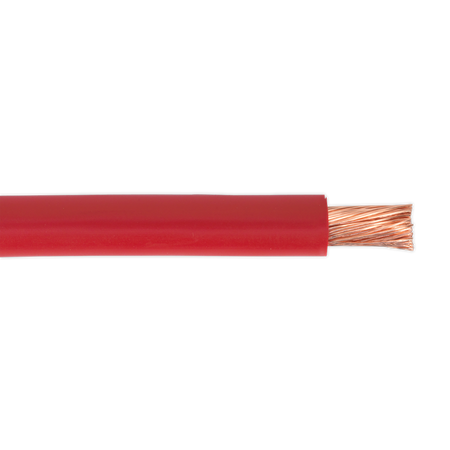 Sealey AC25SQRE 10m 170A 196/0.40mm Automotive Starter Cable - Red
