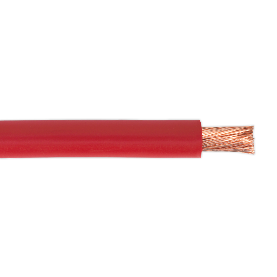 Sealey AC25SQRE 10m 170A 196/0.40mm Automotive Starter Cable - Red
