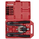 Sealey AK39602 Rivet & Threaded Nut Rivet Kit