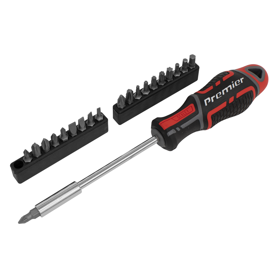Sealey AK4329 21pc GripMAX‚àö√á¬¨√Ü Screwdriver & Bit Set