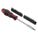 Sealey AK4329 21pc GripMAX√Ç¬Æ Screwdriver & Bit Set