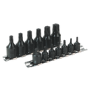 Sealey AK5584 13pc 1/4" & 3/8"Sq Drive TRX-Star* Socket Bit Set