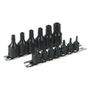 Sealey AK5585 13pc 1/4" & 3/8"Sq Drive TRX-Star* Security Socket Bit Set