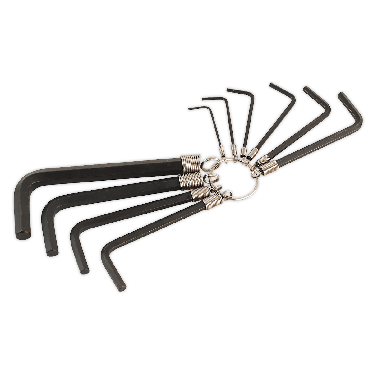 Sealey AK6148 10pc Hex Key Set on Ring