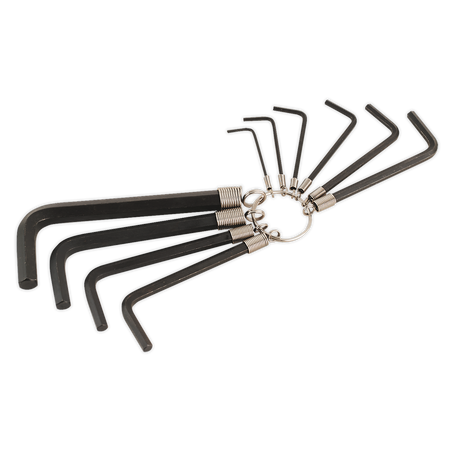 Sealey AK6148 10pc Hex Key Set on Ring