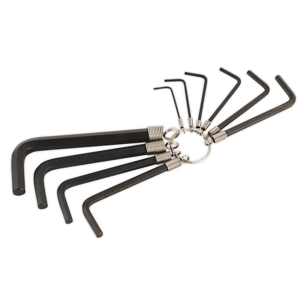 Sealey AK6148 10pc Hex Key Set on Ring