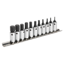 Sealey AK62251 11pc 1/4"Sq Drive Hex Socket Bit Set