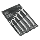 Sealey AK6329 5pc Jumbo Combination Spanner Set