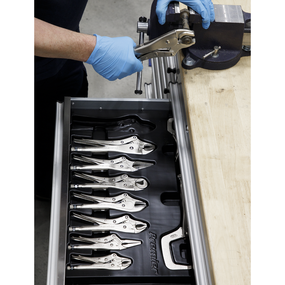 Sealey AK6800 10pc Locking Pliers Set