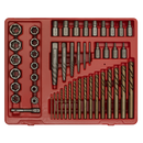 Sealey AK8149 49pc Master Extractor Set