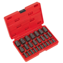 Sealey AK8182 25pc Multi-Spline Screw Extractor Set