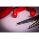 Sealey AK8568 3pc 280mm Needle Nose Pliers Set