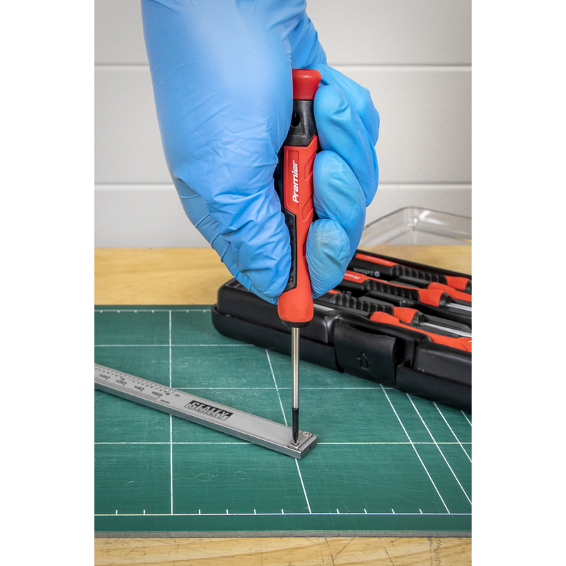 Sealey AK97324 Precision Screwdriver Set 6pc