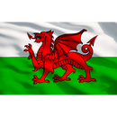 Sealey APTBG03 Toolbox Graphics Pack - Wales