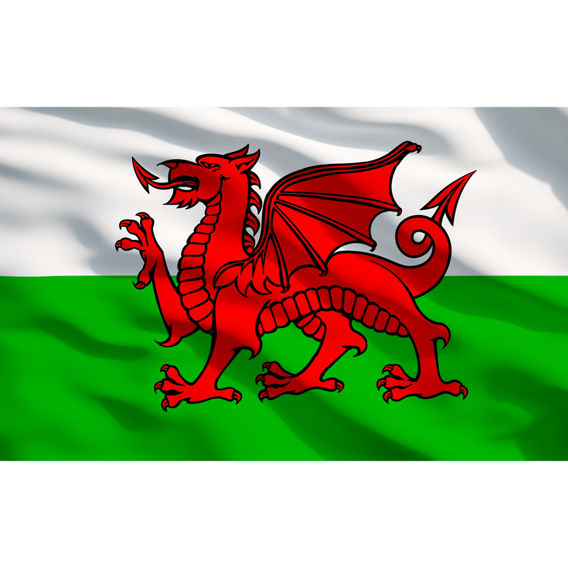 Sealey APTBG03 Toolbox Graphics Pack - Wales