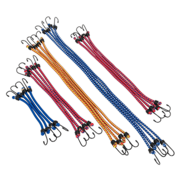 Sealey BCS20 20pc Elastic Cord Set