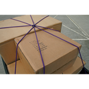 Sealey BCS23 1000mm Octopus Bungee Cord