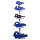 Sealey BGVDSCOMBO1 Professional Vice Stand Deal