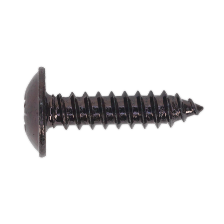 Sealey BST4819 4.8 x 19mm Black Pozi Self Tapping Flanged Head Screw - Pack of 100