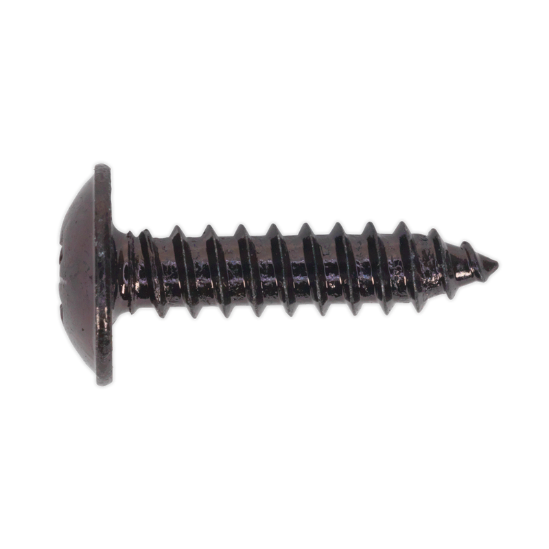 Sealey BST4819 4.8 x 19mm Black Pozi Self Tapping Flanged Head Screw - Pack of 100