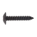 Sealey BST4825 4.8 x 25mm Black Pozi Self Tapping Flanged Head Screw - Pack of 100