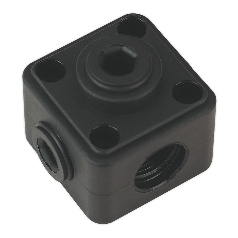Sealey CASPB Porting Block 5 x 1/2"BSP Connection